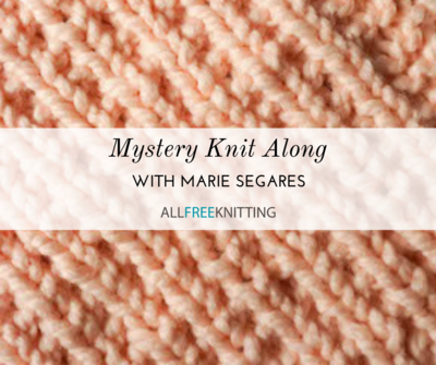 February 2021 Mystery Knit Along