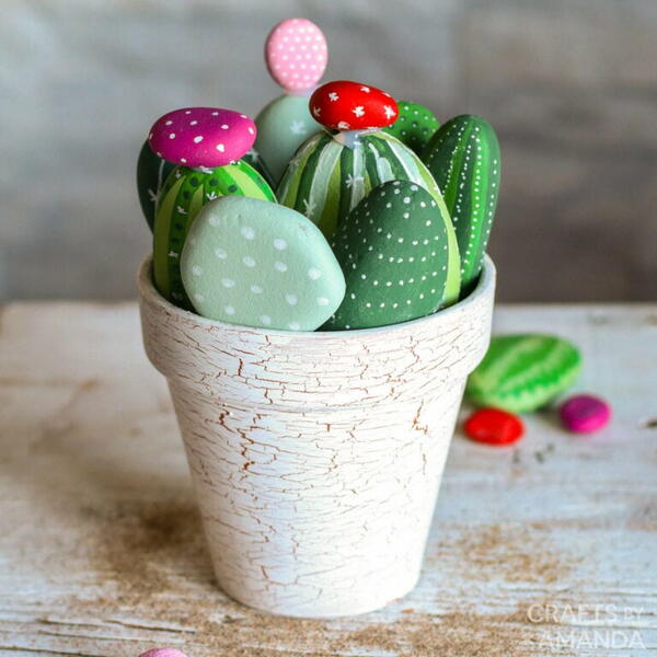 Painted Rock Cactus