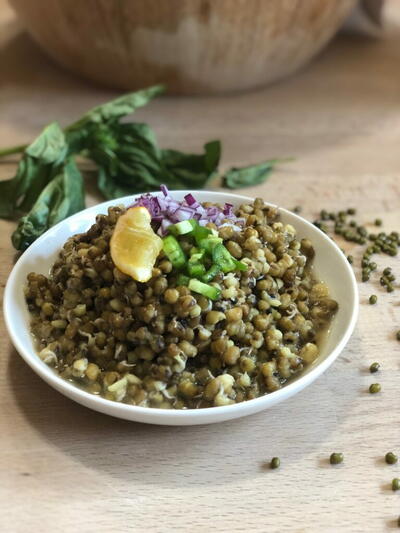 Instant Pot Sprouted Mung Beans