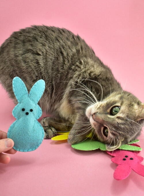 Easter Bunny Peeps DIY Catnip Toys