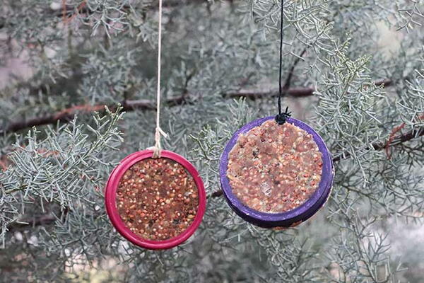 Mason Jar Lid Bird Feeder