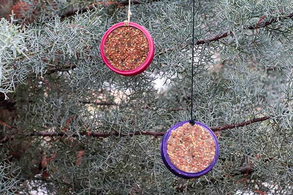 Mason Jar Lid Bird Feeder