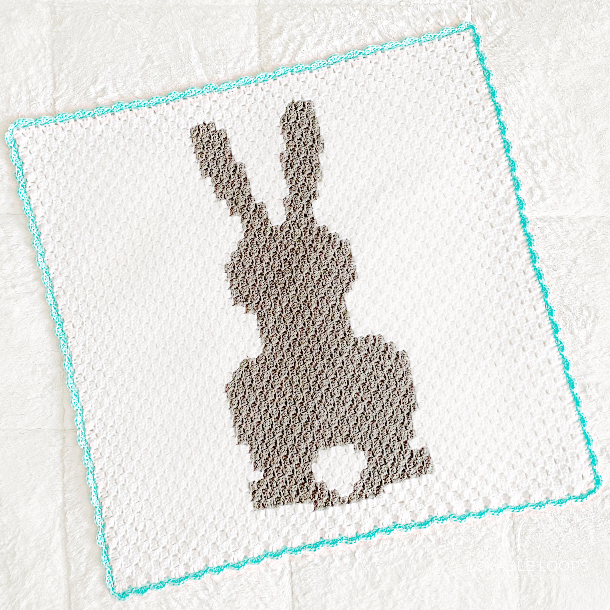 Baby Bunny Blanket | AllFreeHolidayCrafts.com