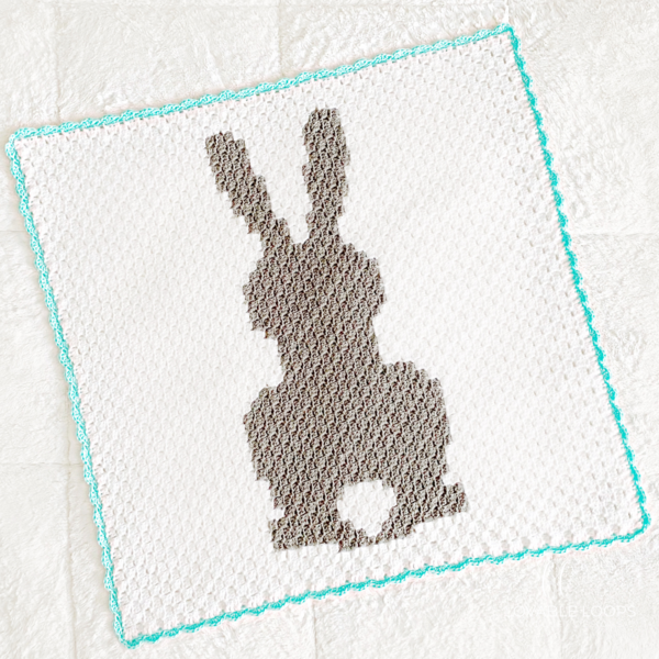 Baby Bunny Blanket