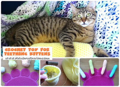 Cat Toy For Teething Kittens