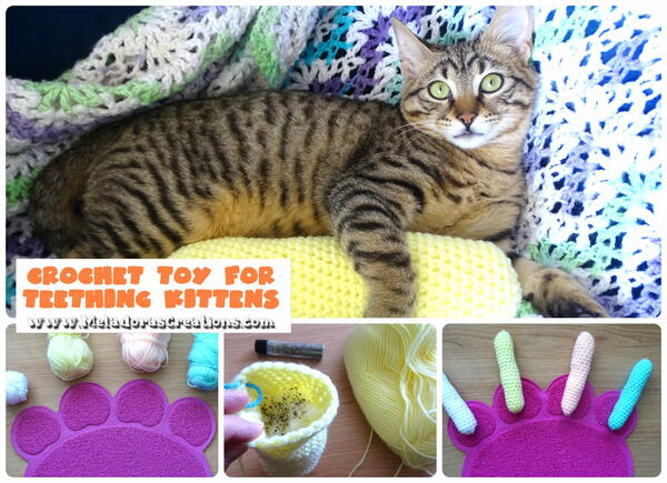 Cat Toy For Teething Kittens
