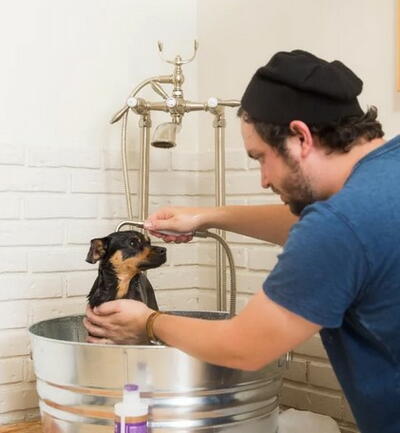 DIY Dog Washing Station