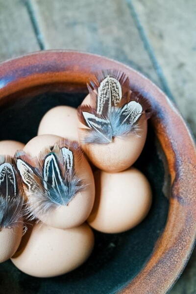 Diy Feather Easter Eggs