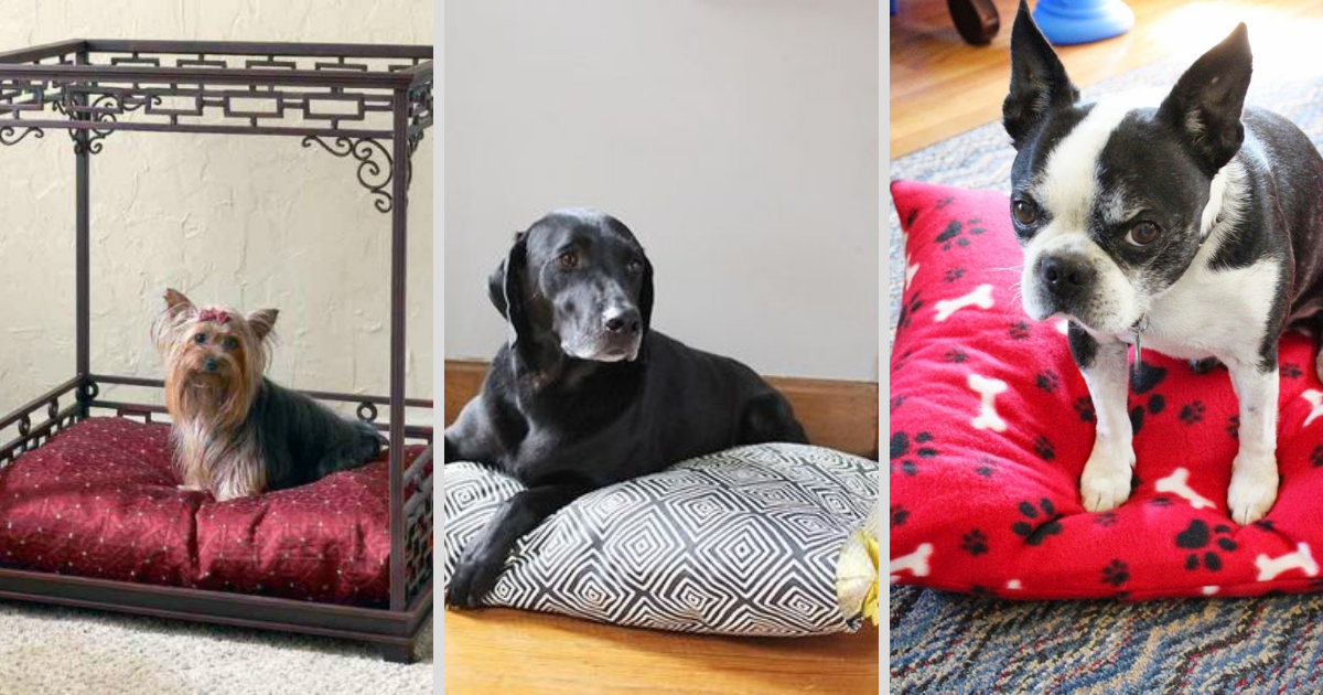 10 Free Dog Bed Patterns [Printable Patterns]