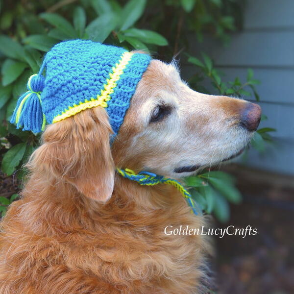 Crochet Dog Hat