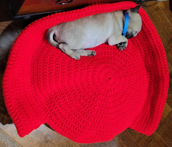 Small Dog Bed