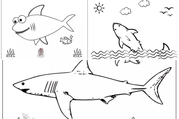 Shark Colouring Pages