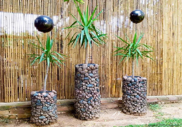 Stunning and Affordable Gabion Planters