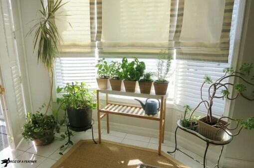 Indoor Herb Garden Plant Stand