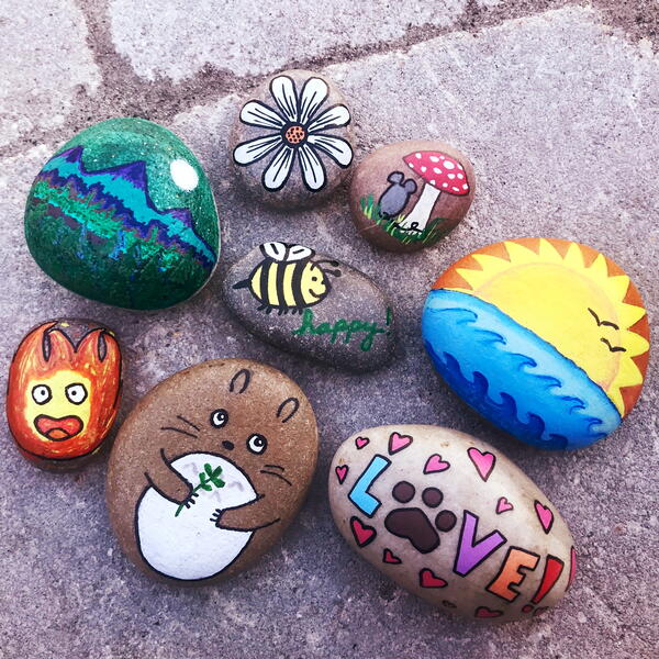 Rock Painting Complete Guide to Painted Rocks