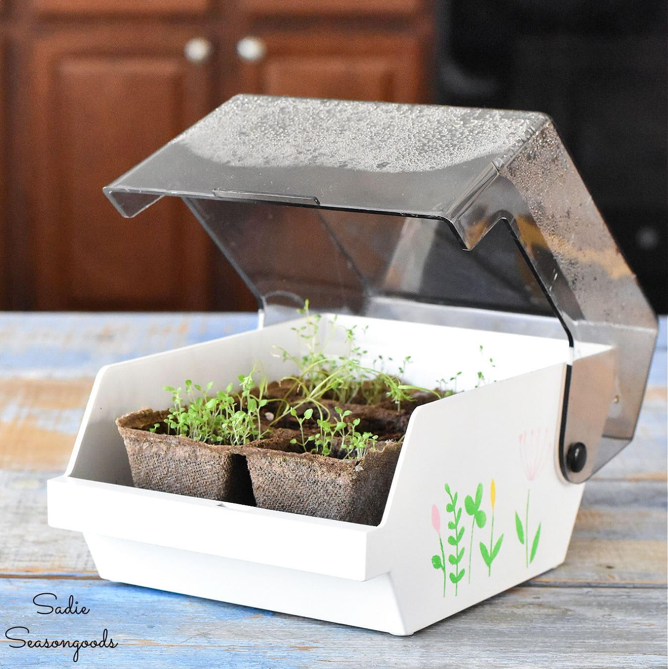 Retro Upcycled Tabletop Greenhouse