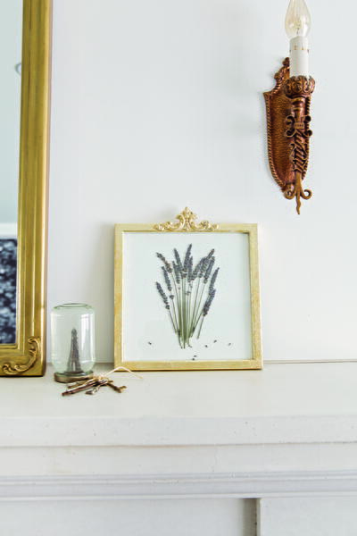 Pressed Lavender in Frame