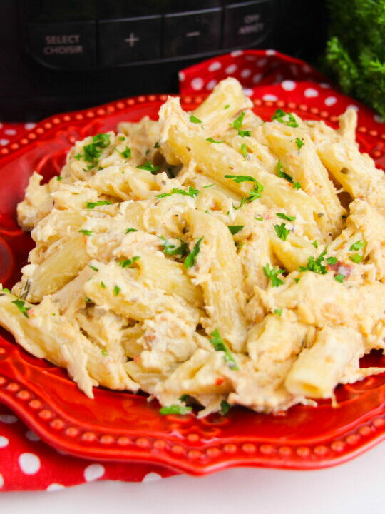 "Great Ground Beef Recipes: 13 Slow Cooker Ground Beef Recipes" Free