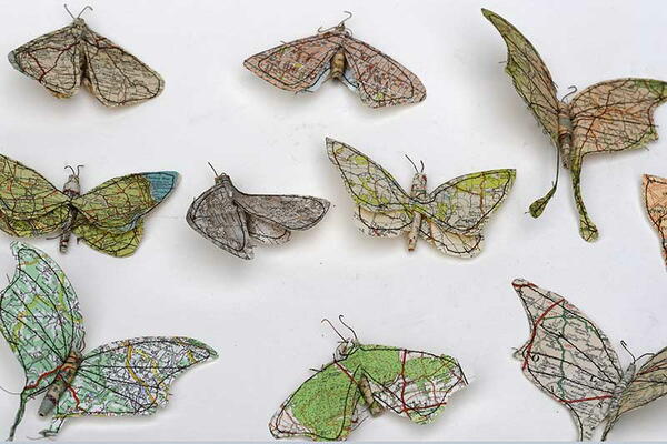 Map Paper Moths