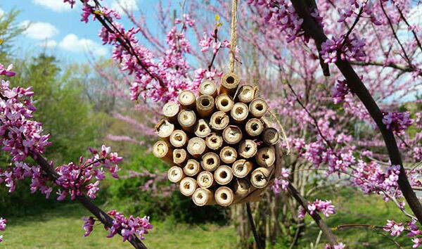How To Make A Diy Bee House For Mason Bees