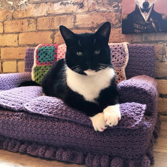 Free Crochet Cat Couch Pattern (Printable!)