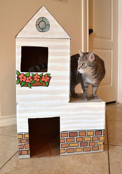 Fancy Cardboard Cat Mansion
