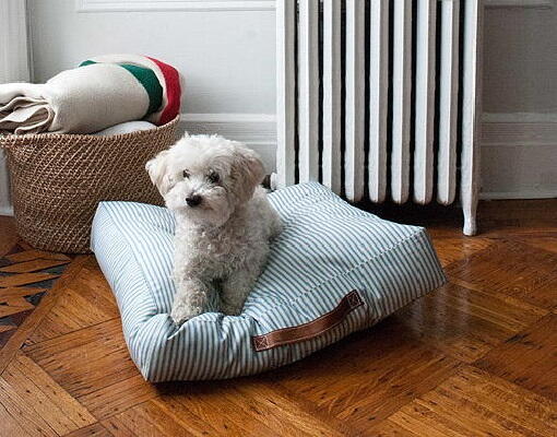 Stylish Strapped Pet Bed