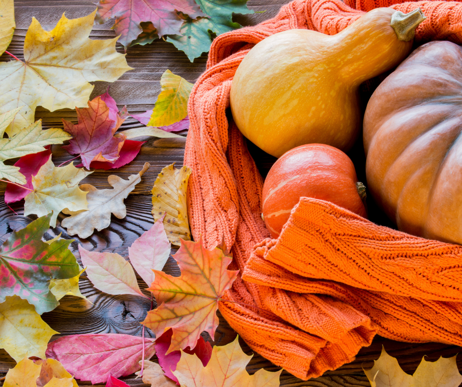 8 Halloween Knitting Charts (Free)