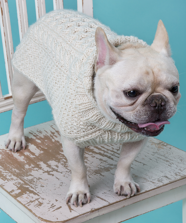 Free knitting pattern top dog coat jack russell