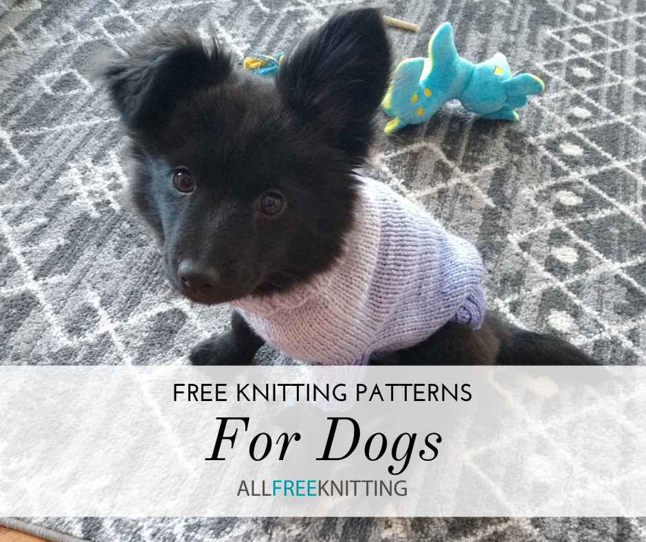 10 Free Knitting Patterns for Dogs AllFreeKnitting