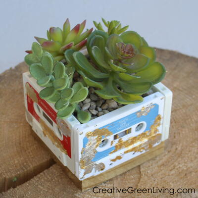 DIY Succulent Planter with Cassette Tapes