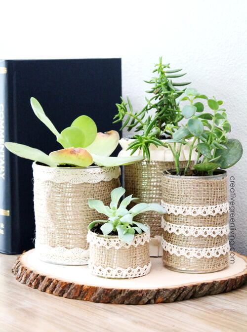 Recycled Tin Can Planters