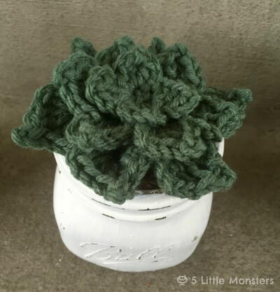 Simple Crochet Succulents Pattern 