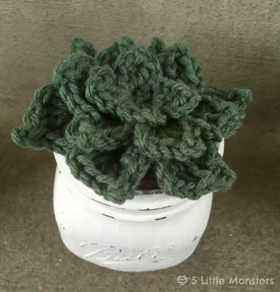 Simple Crochet Succulents Pattern