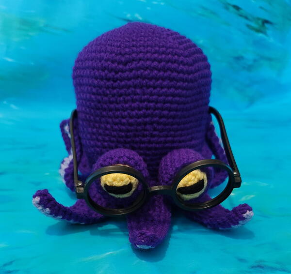 Octopus Eyeglass Holder