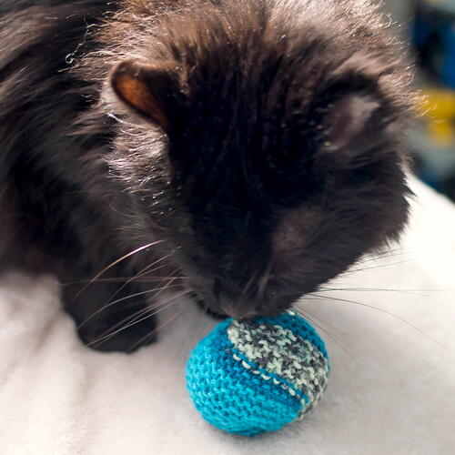 How to Knit a Cat Toy