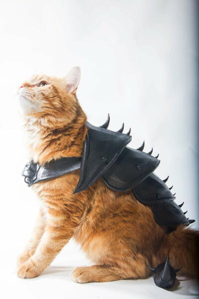 Cat Armor Pattern