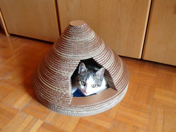 How to Make a Cat House out of Cardboard