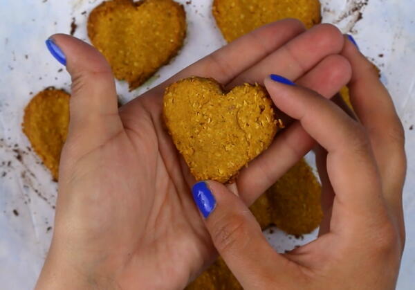 Homemade Pumpkin Oatmeal Dog Treats