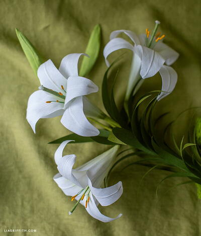Crepe Paper Easter Lily