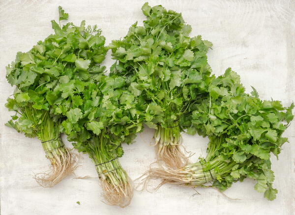 Cut off the ends of the stalks before placing in the water jar.