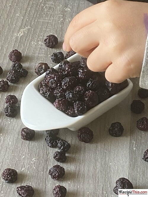 How To Dehydrate Blueberries In Air Fryer