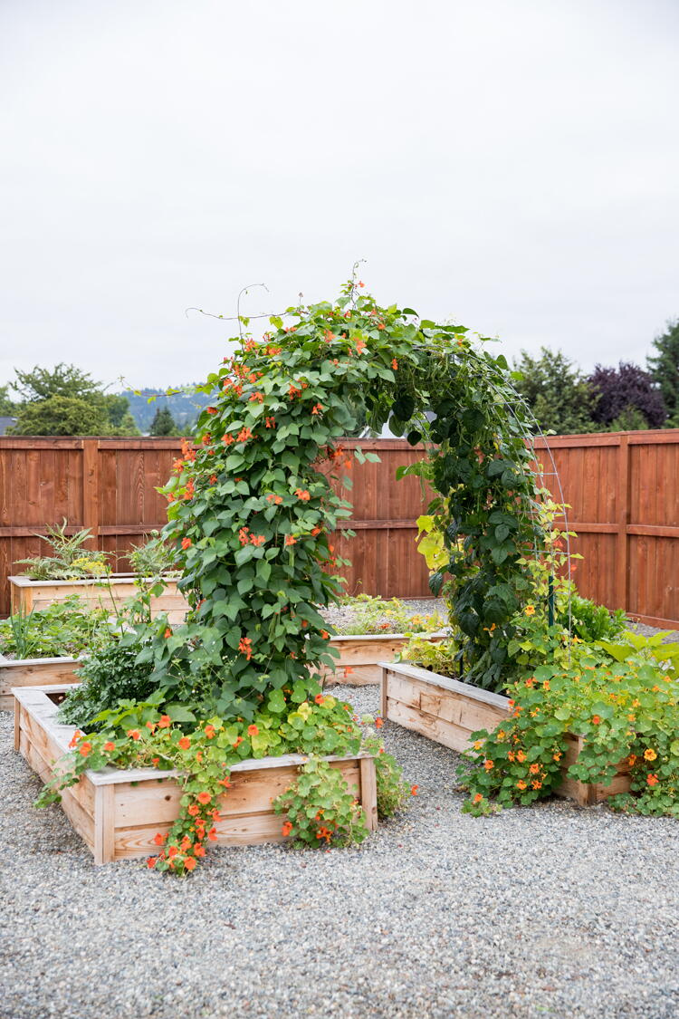 Raised Garden Bed Arch Trellis | DIYIdeaCenter.com