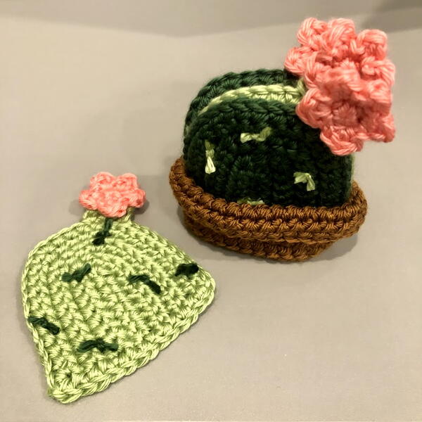 Crochet Cactus Coaster Set