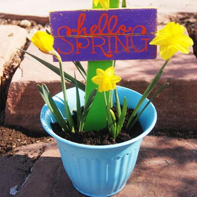 Celebrate Spring Sign