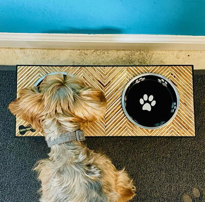 DIY Dog Bowl Stand