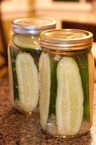 Refrigerator Kosher Dill Pickles - Claussen Copycat Recipe