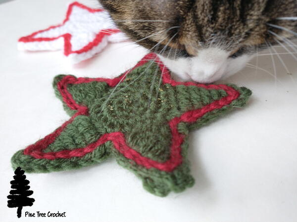 Star Cat Toy 