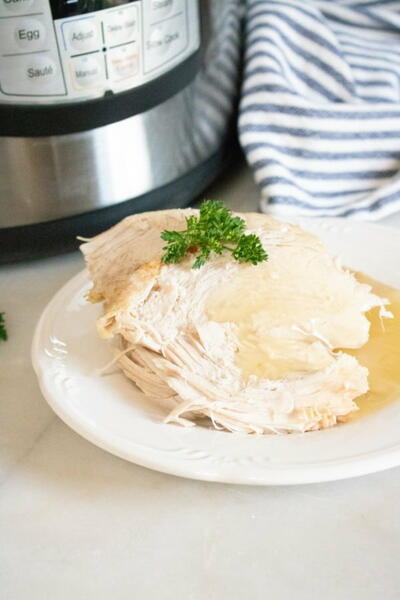 Instant Pot Whole Turkey (or Turkey Breast)