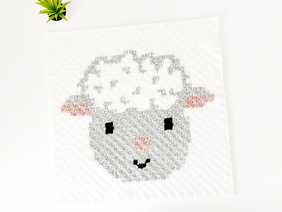 C2c Sheep